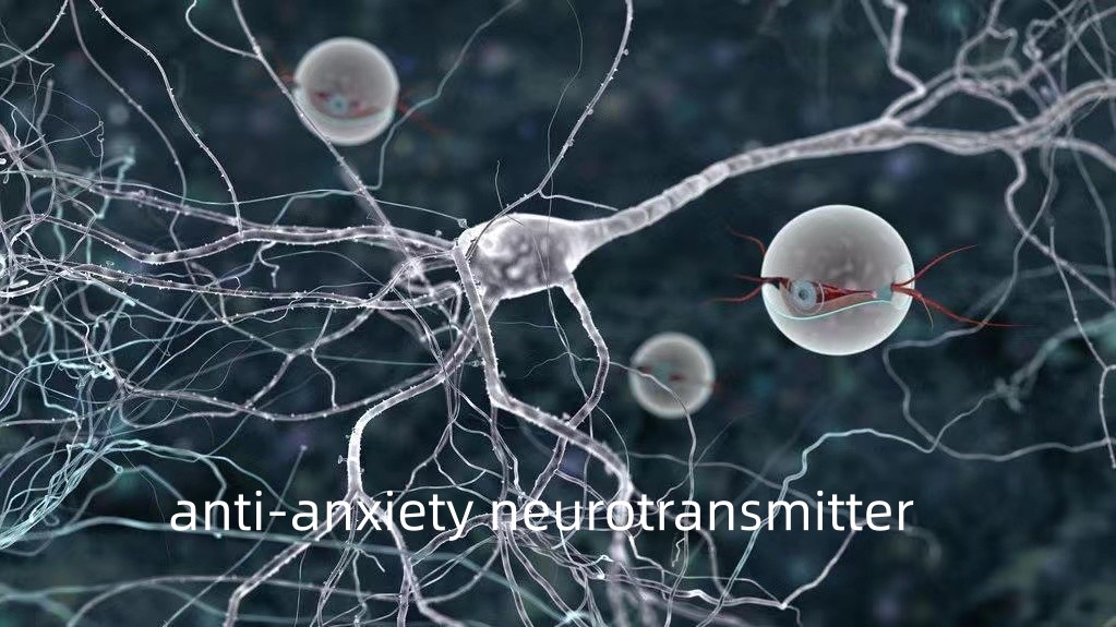 anti-anxiety neurotransmitter