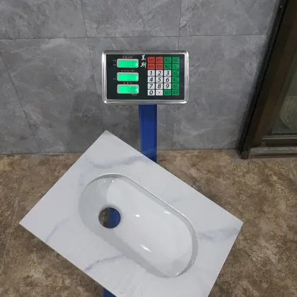 China Wholesaler Marble Design Rock Slab Squat Toilet Pan