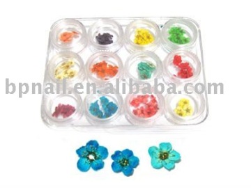 Nail Beauty Real Flower Set