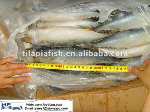 china alibaba fishing tackle, china alibaba fishing tackle Suppliers and  Manufacturers at