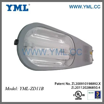 Cobrahead street induction light