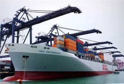 Sea Freight: From China to New Zealand