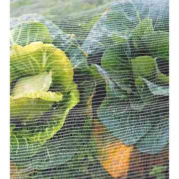 Anti-insect and anti-bird netting