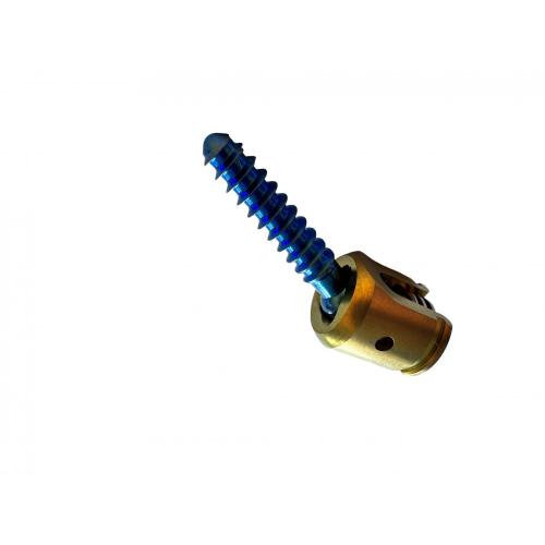 Spinal System Polyaxial Screw Polyaxial Pedicle Screw for Spinal Internal Fixation System Supplier