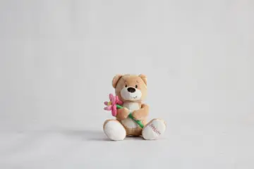Teddy bear mother plot rose flowers bear
