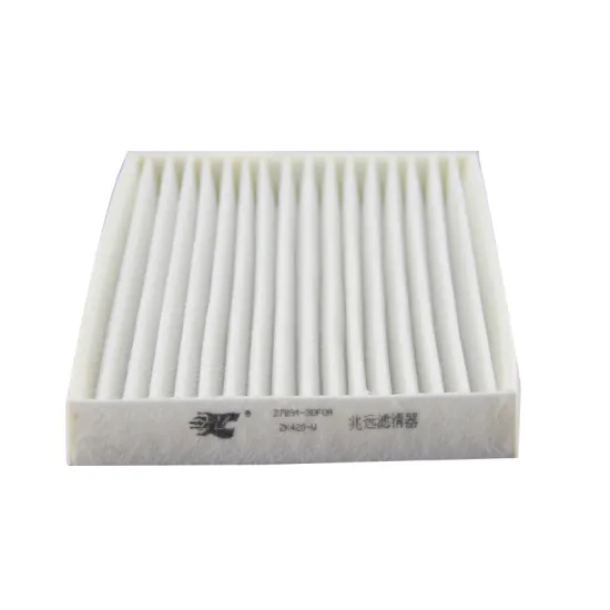 Car Cabin Filter for Multiple Applications: 27277-3DF0A, 27891-1FC0A, 27891-1FD0A, 27891-1FE0A, 27891-3DF0A, 27891-3SG0A, 278911FA0A, AY684-NS017, AY685-NS017" 

However, for a more concise and SEO-friendly title, consider:

"Car Cabin Filter for 27277-3D