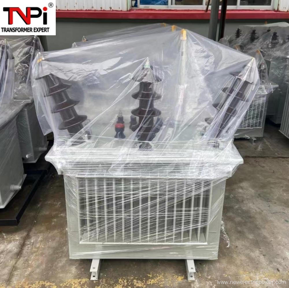 Single phase 10kV Oil Immersed Transformer