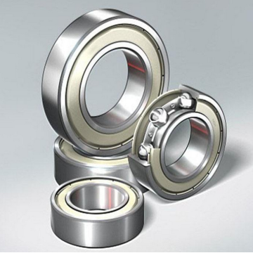 Single Row Deep Groove Ball Bearing (61856)