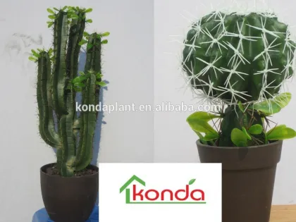 Best selling artificial cactus plants,large cactus indoor plants,christmas cactus plant,mexico cactus plant