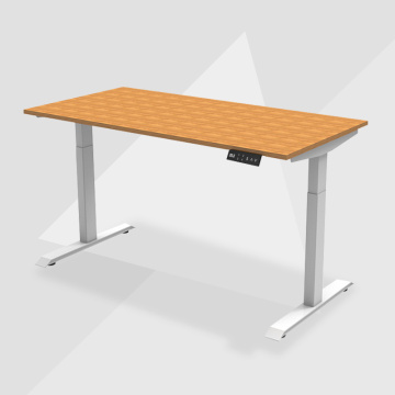 Electric Office Desk Standing Desk Adjustable Modern Furniture