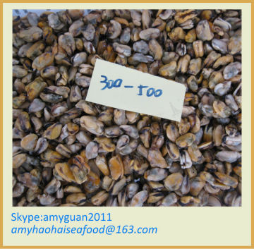 Frozen Cooked Mussel Meat