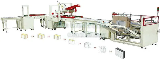 CPL-06 Automatic Carton Erector And Sealing Line