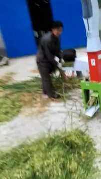 Weiwei grass chopper hay feed grinding machine