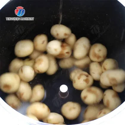 Commercial Drum Potato Washing Machine
