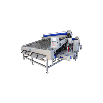 Shrimp Prawn Grading Machine - Roller Sorting Machine