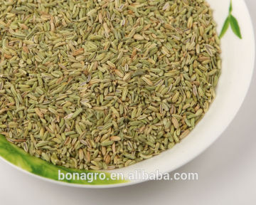 XingJiang organic fennel seed