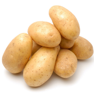 2014 China Fresh Potato