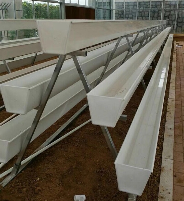 Large Size Hydroponic Growing System NTF Gully