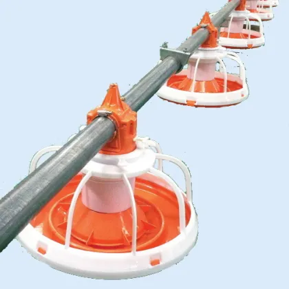 Poultry Machinery for Chicken Raising Equipment
