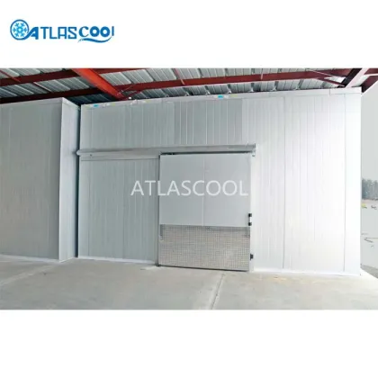 Cold Storage Room with Bitzer Compressor Unit