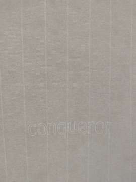Conqueror paper/Conqauro paper/Conquer paper