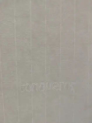 Conqueror paper/Conqauro paper/Conquer paper