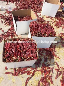 dry Chili