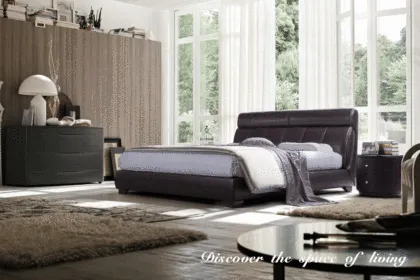 Dark Hue Leather Bed