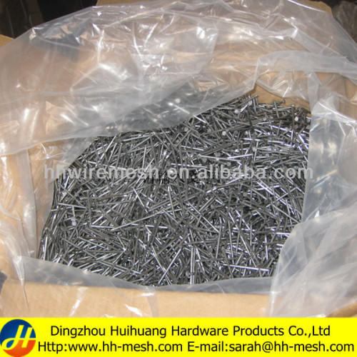 common nails supplier -Reliable supplier -1"-6"