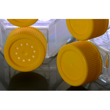 T225 Cell culture flasks for suspension cells
