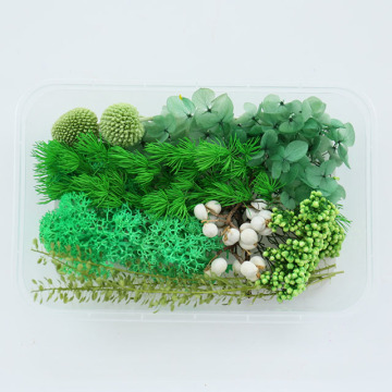 Mix DIY Dry Flower Decoration Materials: Preserved Dried Flowers & Natural Pressed Plants