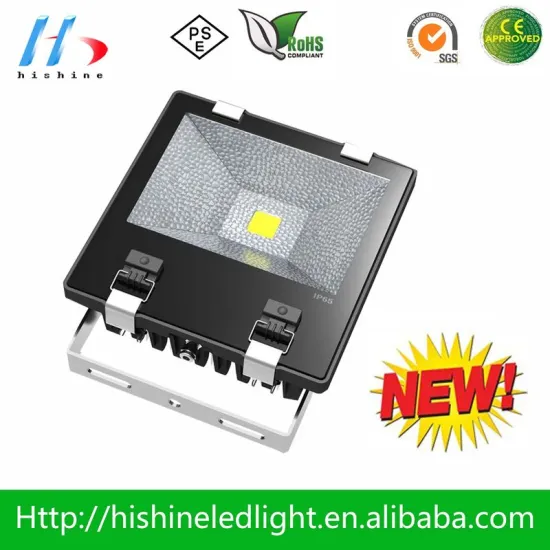 High Power Led Floodlight With 45mil Usa Bridgelux Chip