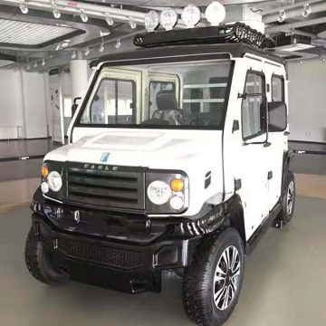 EG Manufacturer Patrol New Energy Mini EV E-Car Electric 4 Seater Street Legal Golf Cart for Sale