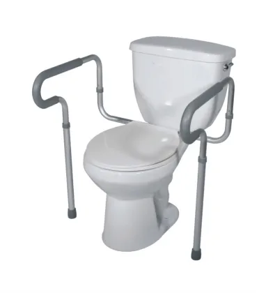 Guardian Toilet Safety Rail