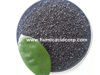 Potassium Humate for plant