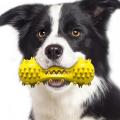 Het Sale Pet Chew Toy för tänder