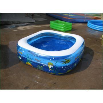 Ocean Life Pool