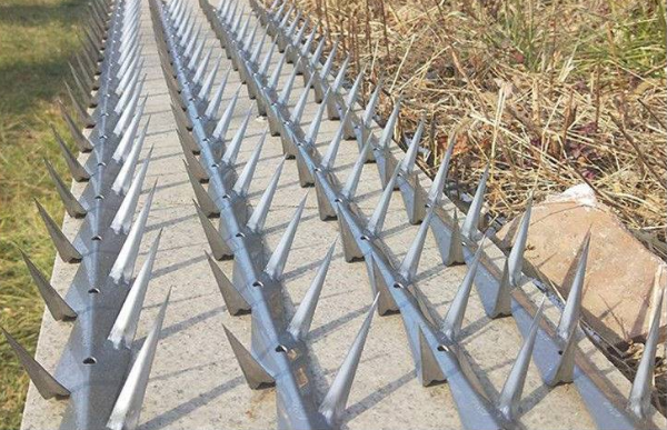 Galvanized steel wall spike with sharp pointed profile – hot‑dip galvanized for outdoor perimeter security, ANJIA factory