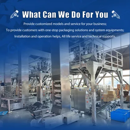 Packing Machine for Frozen Dumplings Packaging