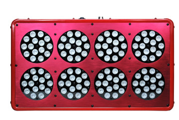Horticulture green house LED grow light