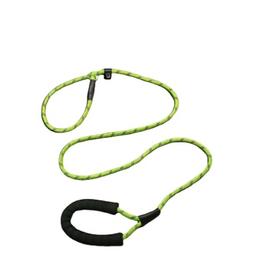 Colorful Nylon Adjustable Small Animal-Patterned Reflective PP Rope Dog Leash for Outdoor Training