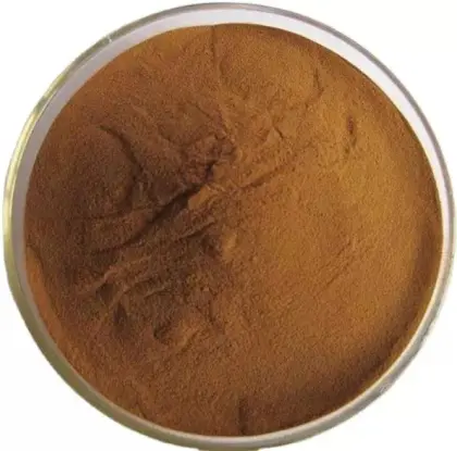 Dandelion Extract Powder for sale