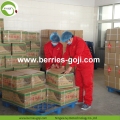 โรงงานผลิตผลไม้โภชนาการเพื่อสุขภาพ Goji Berries