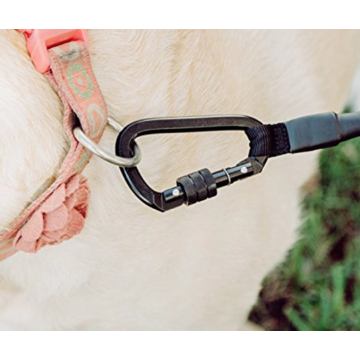 Coleira de cão de carabiner de nylon durável