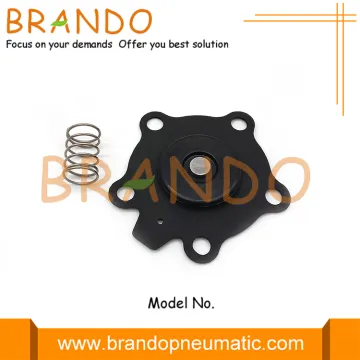 K2004 M1328B RCA20 M Series 3/4'' FKM Diaphragm