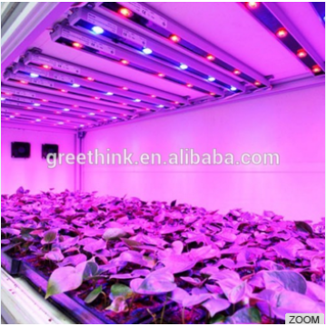 Waterproof 3528 IP65 60leds/m Led Grow Lighting
