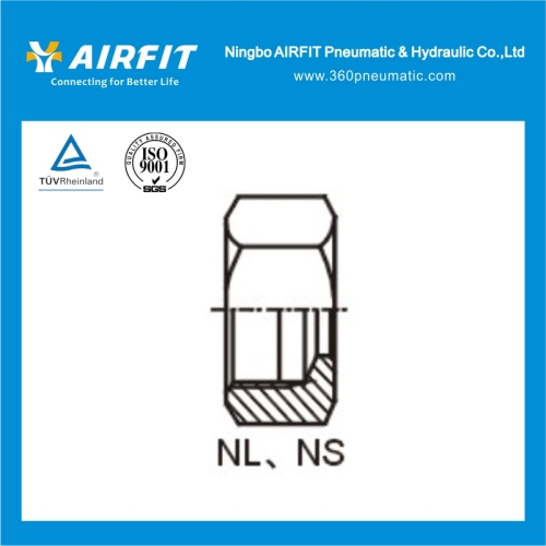 Hydraulic BSPT Thread Fittings