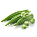 Okra-Extrakt-Pulver Tonisieren von Nierenzutaten