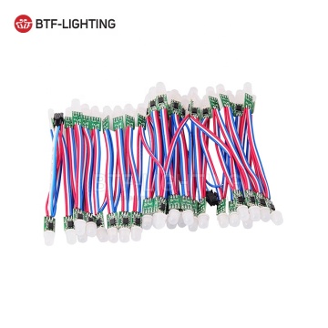 SMART RGB LED PIXEL ROPE LIGHTS WS2811 12V IP68 ديكورات عيد الميلاد المضادة للماء