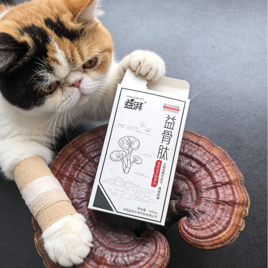 Pet Joint Function Strengthener